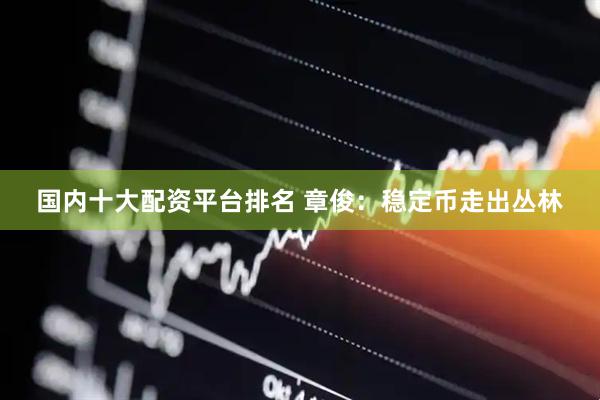 国内十大配资平台排名 章俊：稳定币走出丛林